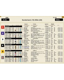 Greyhound Manager 2 Rebooted Steam CD Key