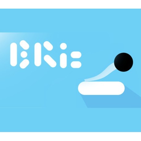 Bric - The Casual Indie Game Steam CD Key