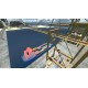 VR Crane Master Steam CD Key