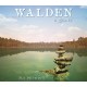 Walden, a game Steam CD Key