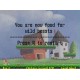 Rescue your chickens Steam CD Key