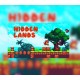 Hidden Lands Steam CD Key