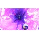 The Dark Queen of Mortholme PC Steam CD Key