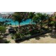 Tropico 6 - Return to Nature DLC EU PC Steam CD Key