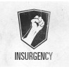 Insurgency ASIA PC Steam CD Key