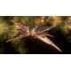 Stellaris: Season 09 - Expansion Pass DLC PC Steam CD Key