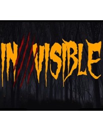 Invisible Steam CD Key