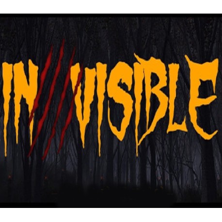 Invisible Steam CD Key