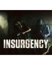Insurgency PC Steam Account