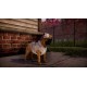 Animal Shelter 2 PC Steam Account