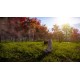 Animal Shelter 2 PC Steam Account