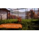 Animal Shelter 2 PC Steam Account