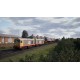 Train Sim World 2 - BR Class 20 'Chopper' Loco Add-On DLC EU PC Steam CD Key