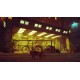 Stray LATAM PC Steam CD Key