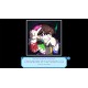 Snow • Fall PC Steam CD Key