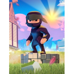 Mad Dojo Steam CD Key