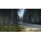 theHunter: Call of the Wild RoW Steam CD Key