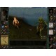 Wizards & Warriors PC GOG CD Key
