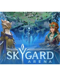 Skygard Arena PC Steam CD Key