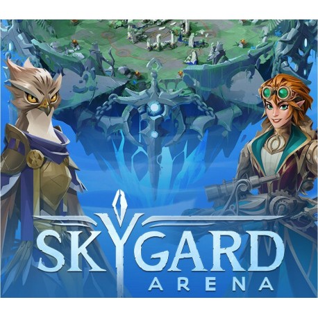 Skygard Arena PC Steam CD Key