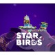 Star Birds PC Steam CD Key