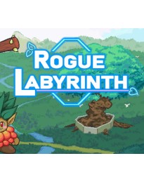 Rogue Labyrinth PC Steam CD Key