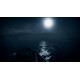 Kona II Brume XBOX One / Xbox Series X|S / PC Account
