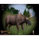 Hunting Unlimited 2010 Steam CD Key