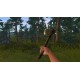 Strayed Steam CD Key