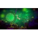 Into the Belly of the Beast Steam CD Key