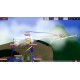 Biplane Baron 2: Flying Aces PC Steam CD Key