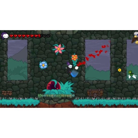 Zeran's Folly Steam CD Key