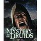 The Mystery of the Druids PC Steam CD Key