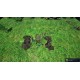 Red vs Green PC Steam CD Key