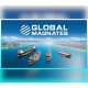 Global Magnates: Shipping Tycoon PC Steam CD Key