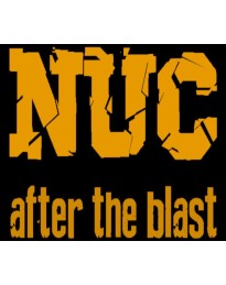 NUC: After The Blast Steam CD Key