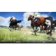 Winning Post 10 JP PC Steam CD Key