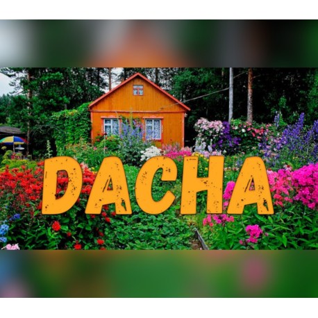 DACHA PC Steam CD Key