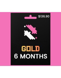 IMAGINE RED Gold Plan 6 months