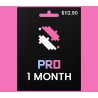 IMAGINE RED PRO Plan 1 month