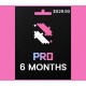 IMAGINE RED PRO Plan 6 months