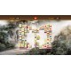 Mahjong Steam CD Key