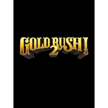 Gold Rush! 2 Steam CD Key