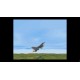 IF-16 FIGHTING FALCON PC Steam CD Key