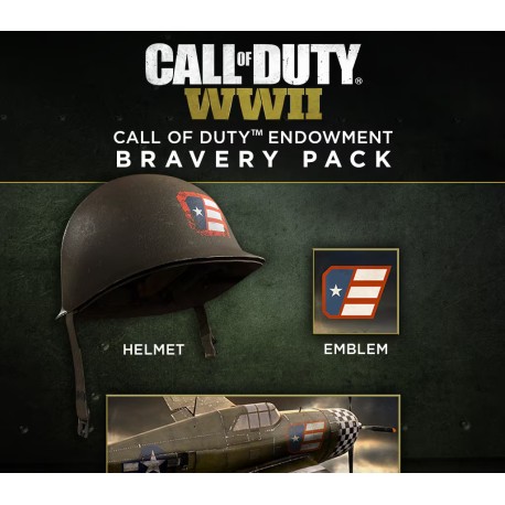 Call of Duty: WWII - Call of Duty Endowment Bravery Pack DLC US PC Steam CD Key