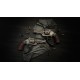 Hunt: Showdown 1896 - Northern Justice DLC PC Steam CD Key