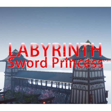 Labyrinth Sword Princess PC Steam CD Key