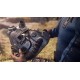 Fallout 76 LATAM PC Steam CD Key
