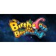 Birthdays the Beginning Steam CD Key