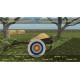 Precision Archery: Competitive Steam CD Key